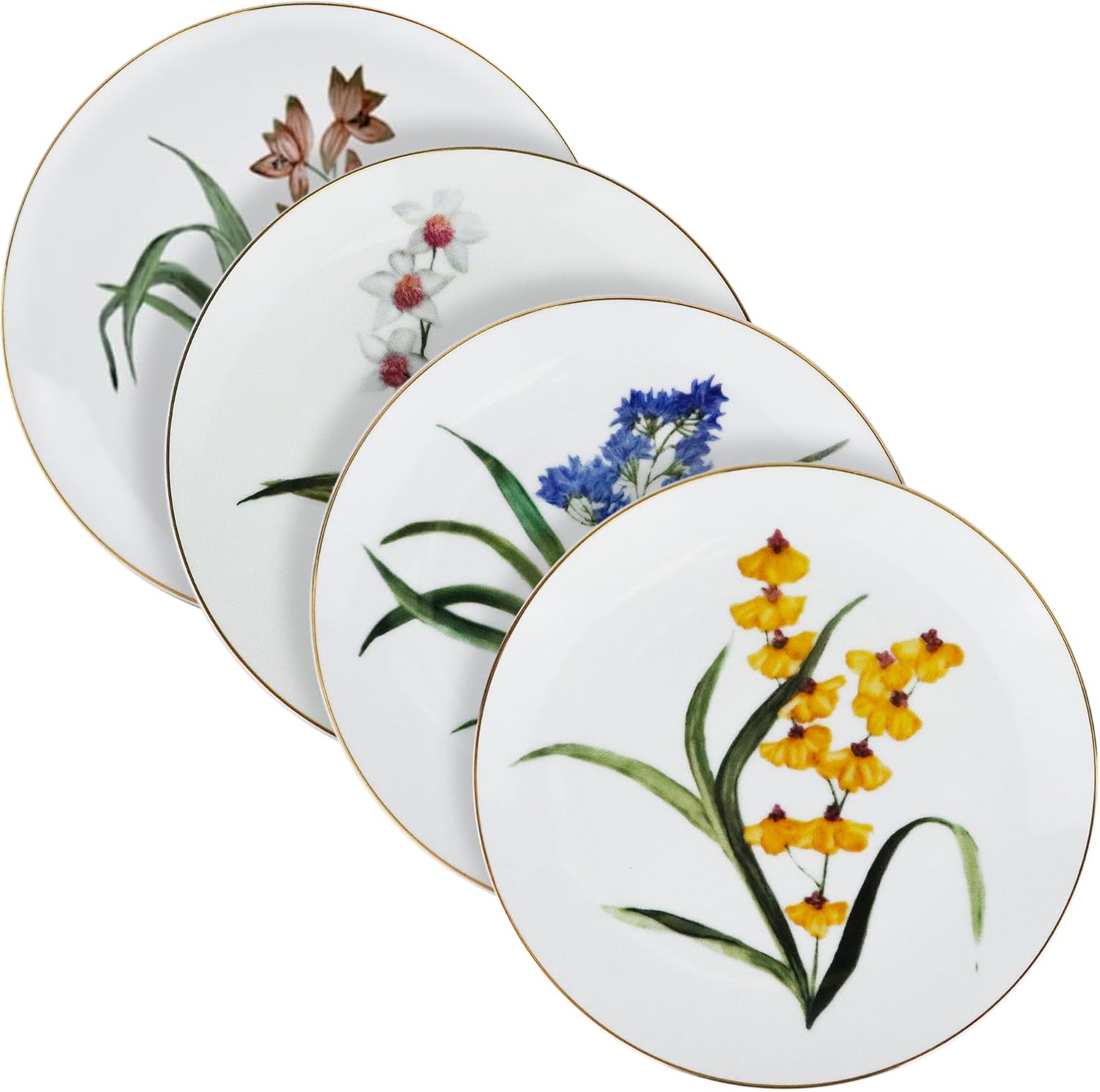 イマン マリカ アミナ アニバーサリーコラージュ Imane イマン マリカ